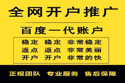 行业标杆的SEM竞价营销案例研究